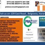 Pishon Consulting (Pvt) Ltd
